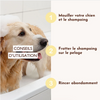 Shampoing solide anti-démangeaisons - pour chien – Le Miraculeux 🧼🌿
