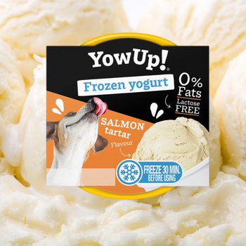 Yaourt rafraîchissant pour chien&chat – Saveur tartare de saumon