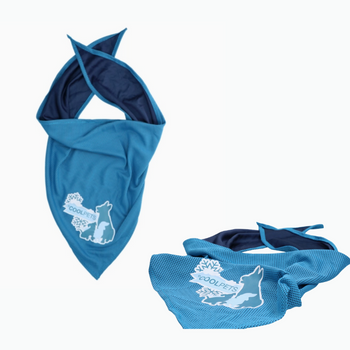 🧊 Bandana rafraîchissant pour chien – Confort & fraîcheur par temps chaud
