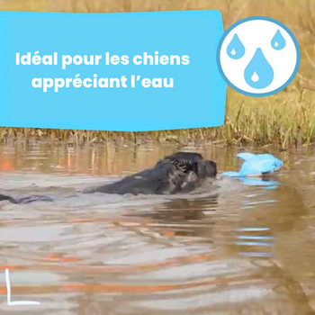 🐬 Jouet flottant&rafraichissant pour chien – Dolphi le Dolphin