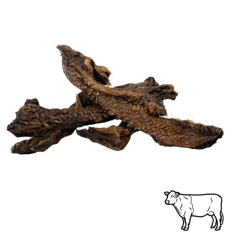 🟠 Lèvres de boeuf longues