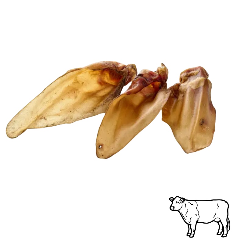🟡 Oreilles de boeufs séchées SANS fourrure