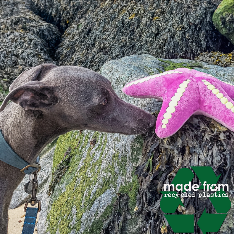 Jouet pour chien en matériaux recyclés doux Animaux marins 