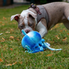 Peluche Méduse écologique pour chien