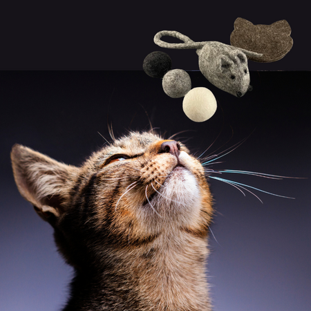 Kit Pelotes Purr-fection pour chat