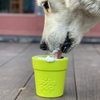 Distributeur de Friandises "Pot de Fleurs" SodaPup pour chiens