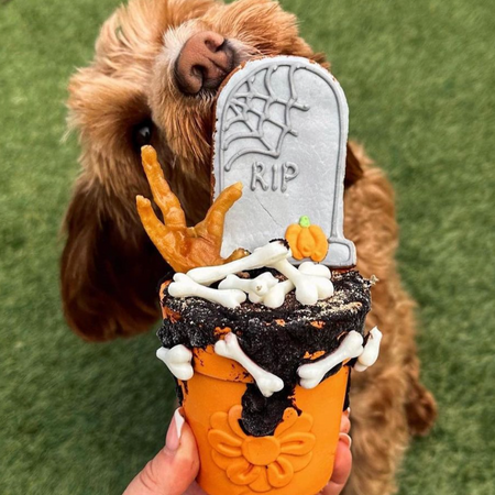 Distributeur de Friandises