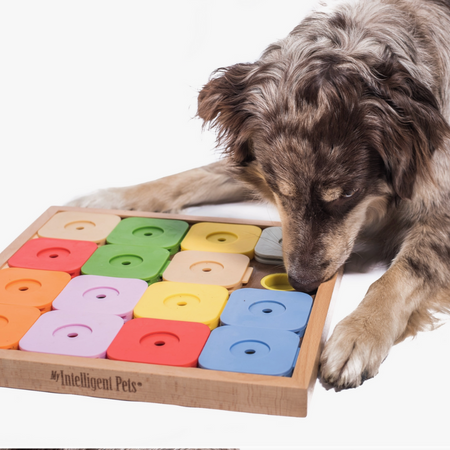 Jeu de réflexion pour chien Sudoku ++ My Intelligent Pets