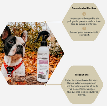 Soin Spécial Démangeaisons/Irritations chiens 🐶