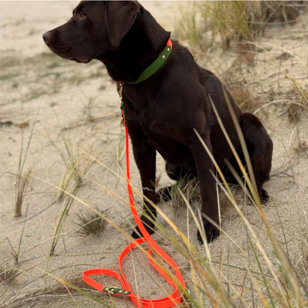 La laisse du chien réglable double doggo-05 Destockage Grossiste La laisse du chien réglable double doggo-05 Destockage Grossiste
