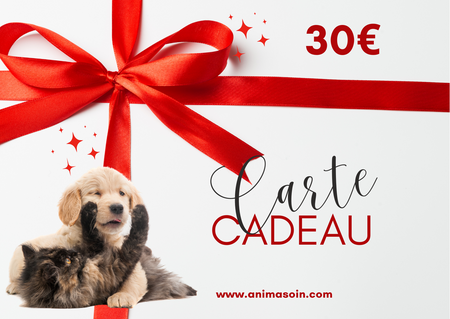 Carte Cadeau Animasoin numérique