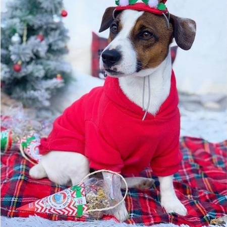 🎄 Boules de Woofmas – Friandises croustillantes dans un cône pour chiens
