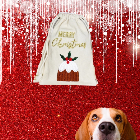 🎁 Pochon de Noël Garni pour Chien - Friandise artisanale