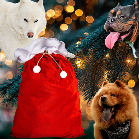 🎄 Hotte du Masticateur – Le gros cadeau de Noël pour chiens puissants 🎅🐾