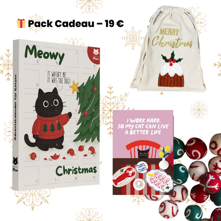 😻 Pack Cadeau Chat – Calendrier + Jouets ; Surprises 🎄✨