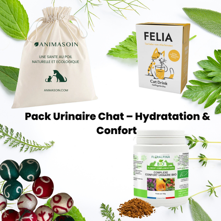 Pack Urinaire Chat – Hydratation et Confort 💧🌿