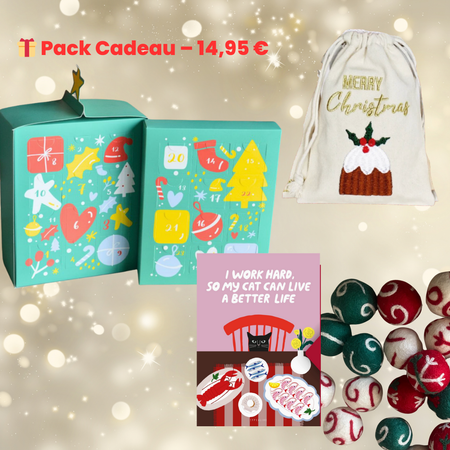 😻 Pack Cadeau Chat – Calendrier + Jouets ; Surprises 🎄✨
