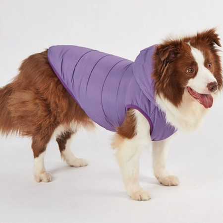 Veste matelassée pour Petit Chiens – Douce, chaude et élégante pour l’hiver