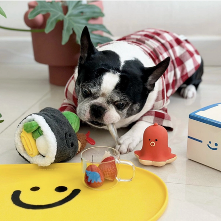 🍣 Jouet à Renifler Sushi Roll – Stimulation mentale & plaisir garanti !