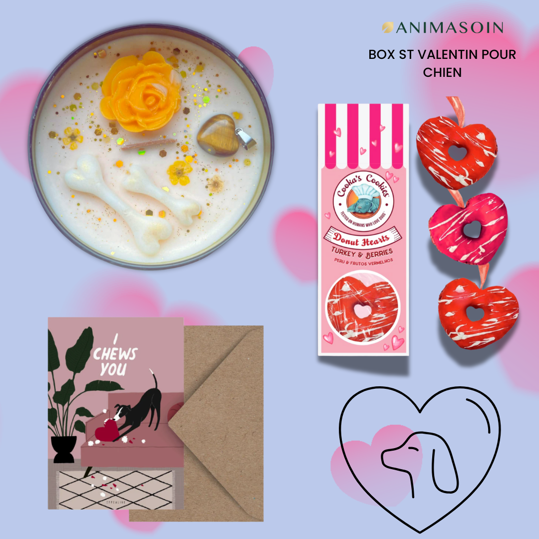 ❤️ Box Saint-Valentin Animasoin pour chien et humain – Édition limitée