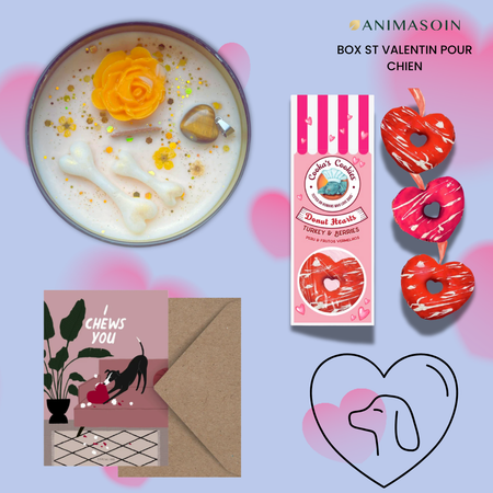 ❤️ Box Saint-Valentin Animasoin pour chien et humain – Édition limitée
