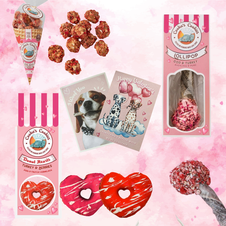 💘 Box Saint-Valentin Animasoin – Mon vrai Valentin a des poils