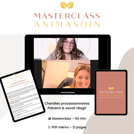 Masterclass – 🐛 Chenilles processionnaires