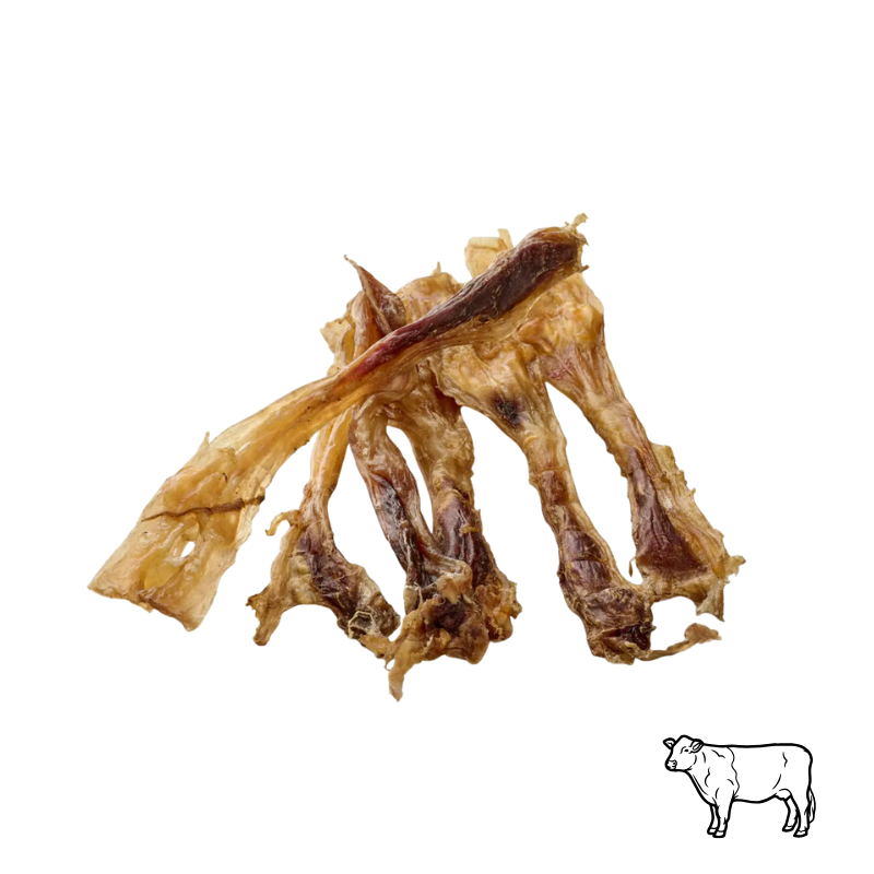 🟠 Tendons d'achille de boeuf