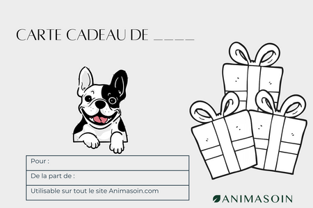 Carte Cadeau Animasoin numérique