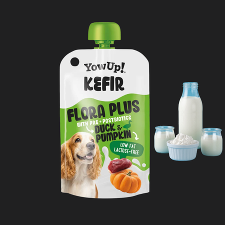 Yaourt kéfir Courge & Canard pour chien – Digestion & microbiote