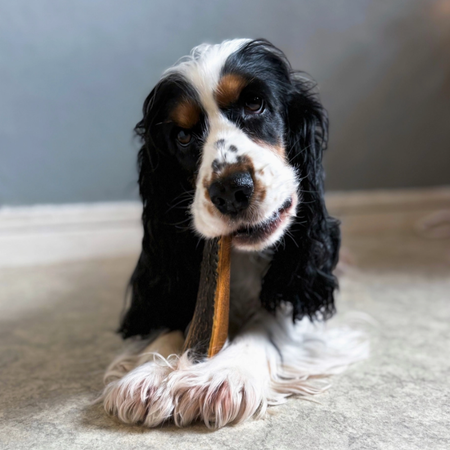 🟡 Bois de cerf biseau fumé au jambon de façon artisanale