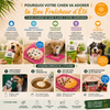 Box Fraîcheur d'Été pour chien – Yaourts glacés, kéfir, smoothie & bouillons