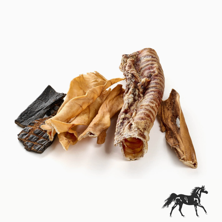 Box de friandises séchées naturelles au cheval