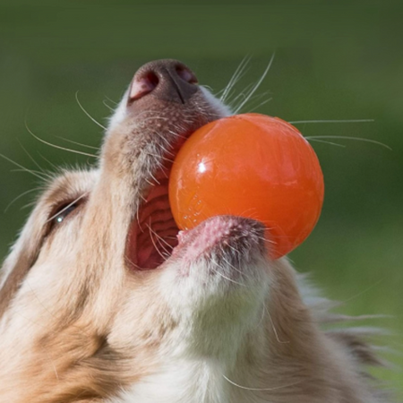 BIONIC Ball – Résistante, rebondissante, irrésistible !