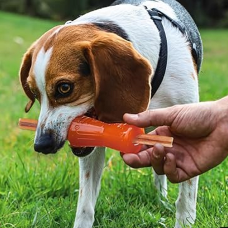 Os Bionic Bone - solidité et fun !