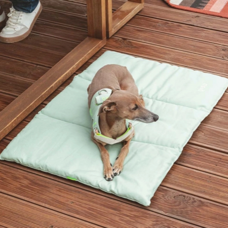 Lit de voyage ou à la maison pour chien (avec sac intégré)