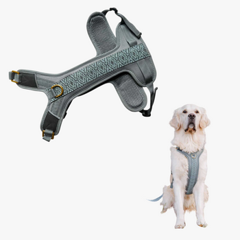 Harnais rembourré – Anthracite / Bleu glacier - 2 points d'attache (anti-traction & dorsal)