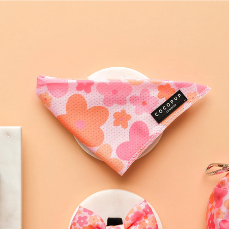 Bandana Summer Bloom - Cocopup London