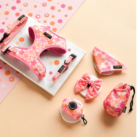 Bandana Summer Bloom - Cocopup London