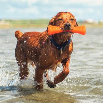 Bâton BIONIC® Urban Stick™ - robuste et fun