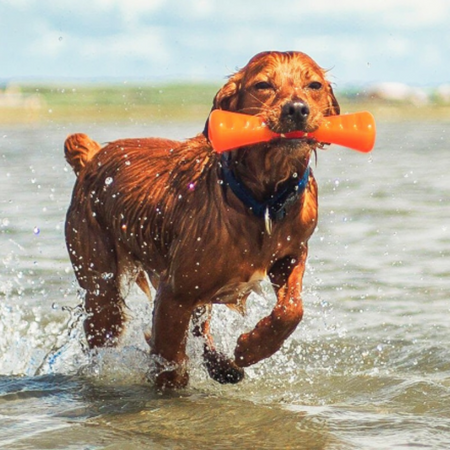 Bâton BIONIC® Urban Stick™ - robuste et fun