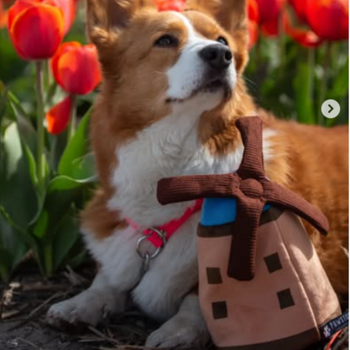 Peluche de Fouille - Moulin à vent Hollandais