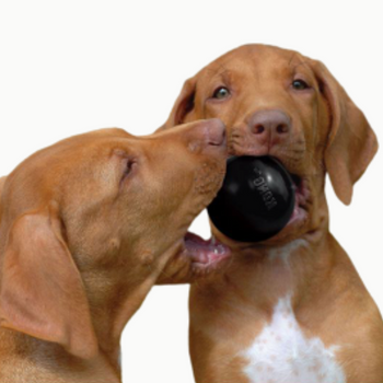 Kong ball extreme Noir - la balle préférée des mâchoires puissantes