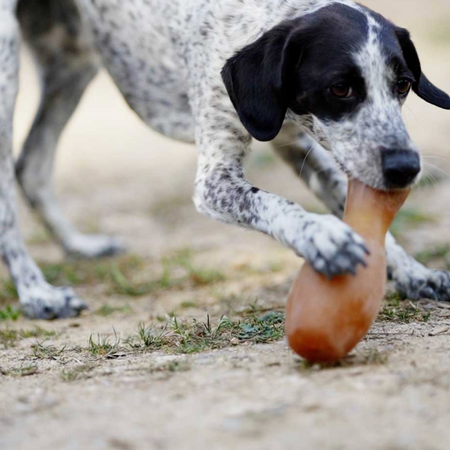 Jouet naturel pour chiens Rub Flipper : pour une vie quotidienne enrichie