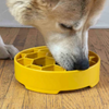 Gamelle anti-glouton pour chien Honey Bowl Sodapup