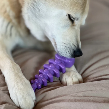 Os de poisson en nylon durable pour chien