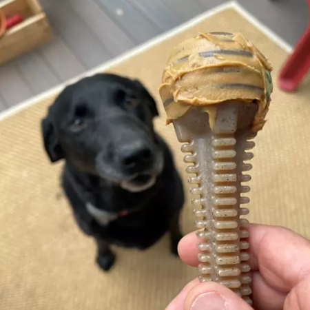 Le jouet de la Tour en nylon durable pour chien