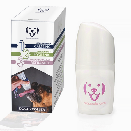 DoggyRoller : le distributeur de récompenses à bille