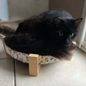 Griffoir détente - table basse Ananas pour chat