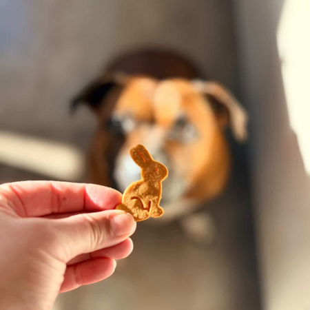 Biscuits de Pâques pour chien – Lapins artisanaux bio 🐰